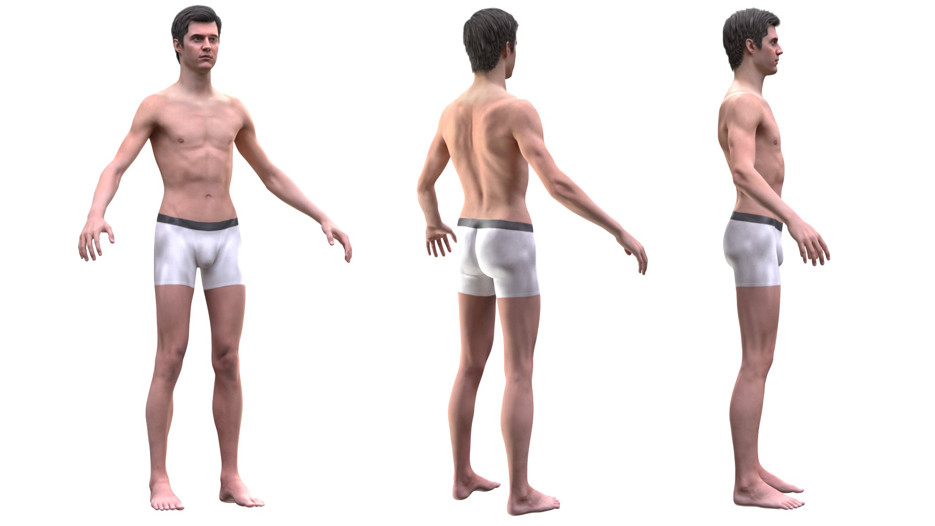 3d Male Body