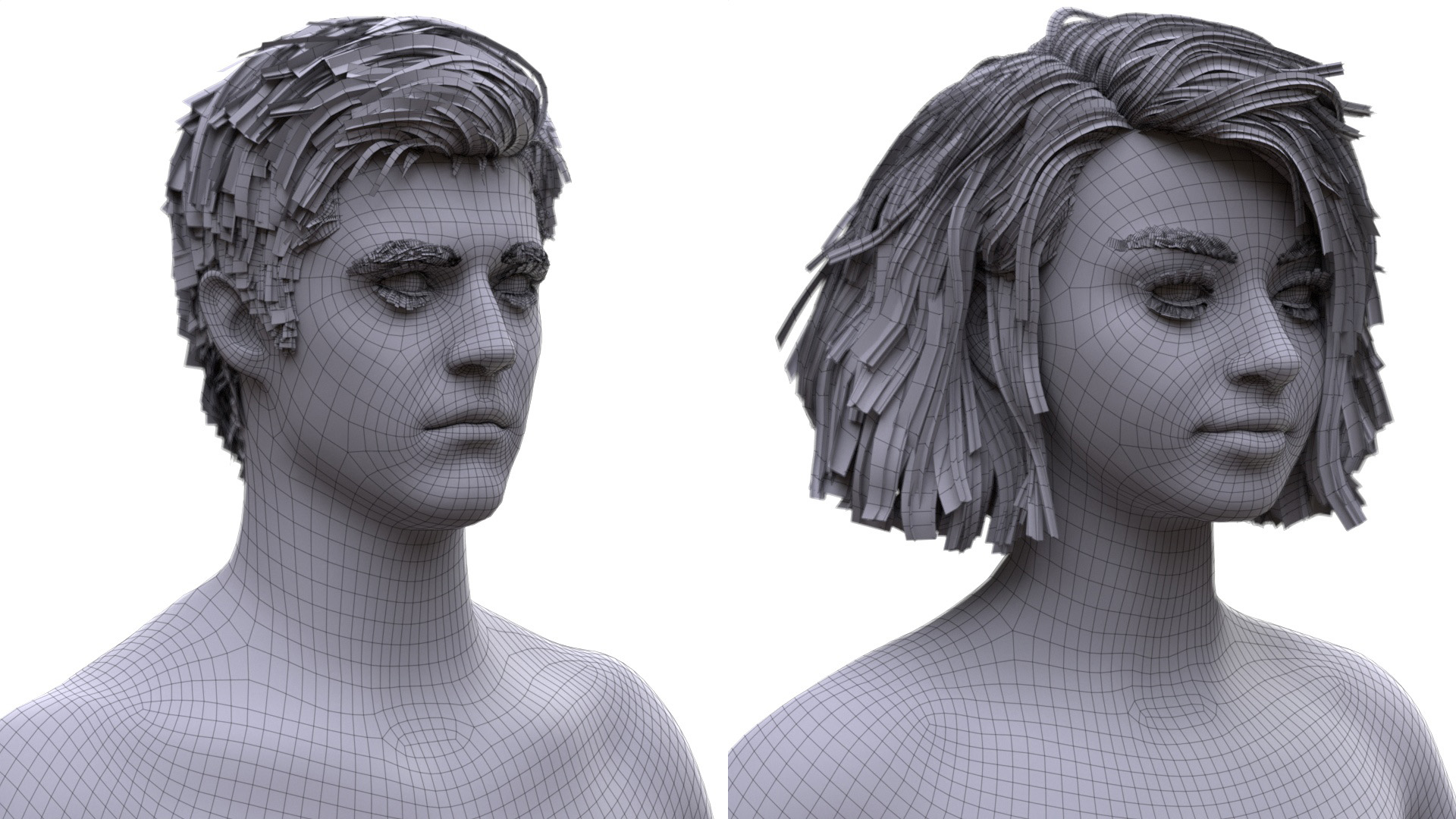 3d Male Female Heads Wire